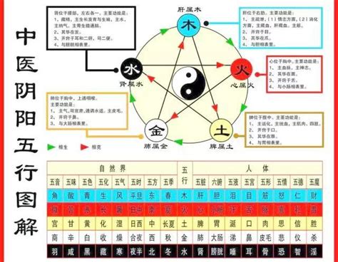 中醫五行表 黑摩利魚